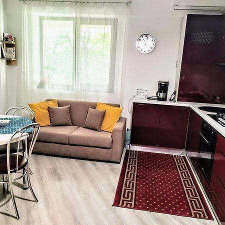 Simona Apartament Palas Mall 1 Iasi Ngoại thất bức ảnh